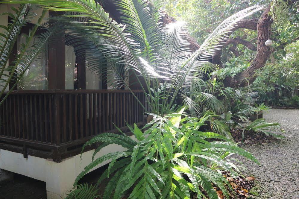 Blue Bayou Bungalows Balabag  Exterior foto